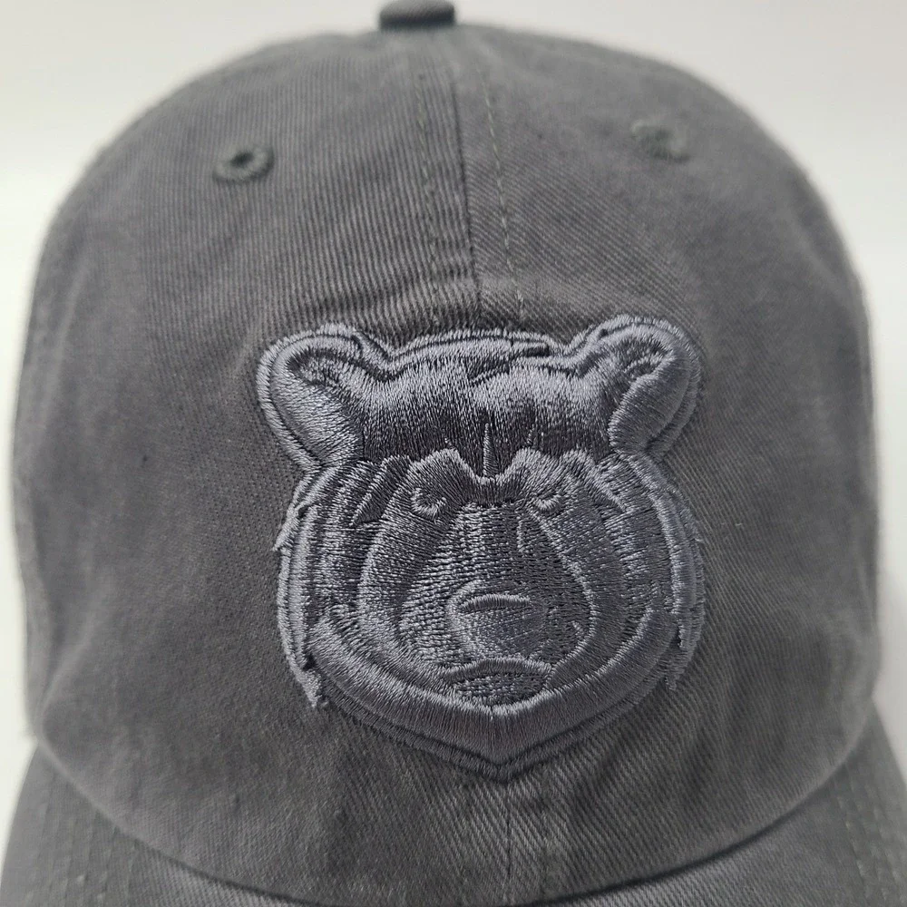 Tennessee Smokies Hat Fitted M 47 Brand Franchise Gray MiLB Baseball Logo Men